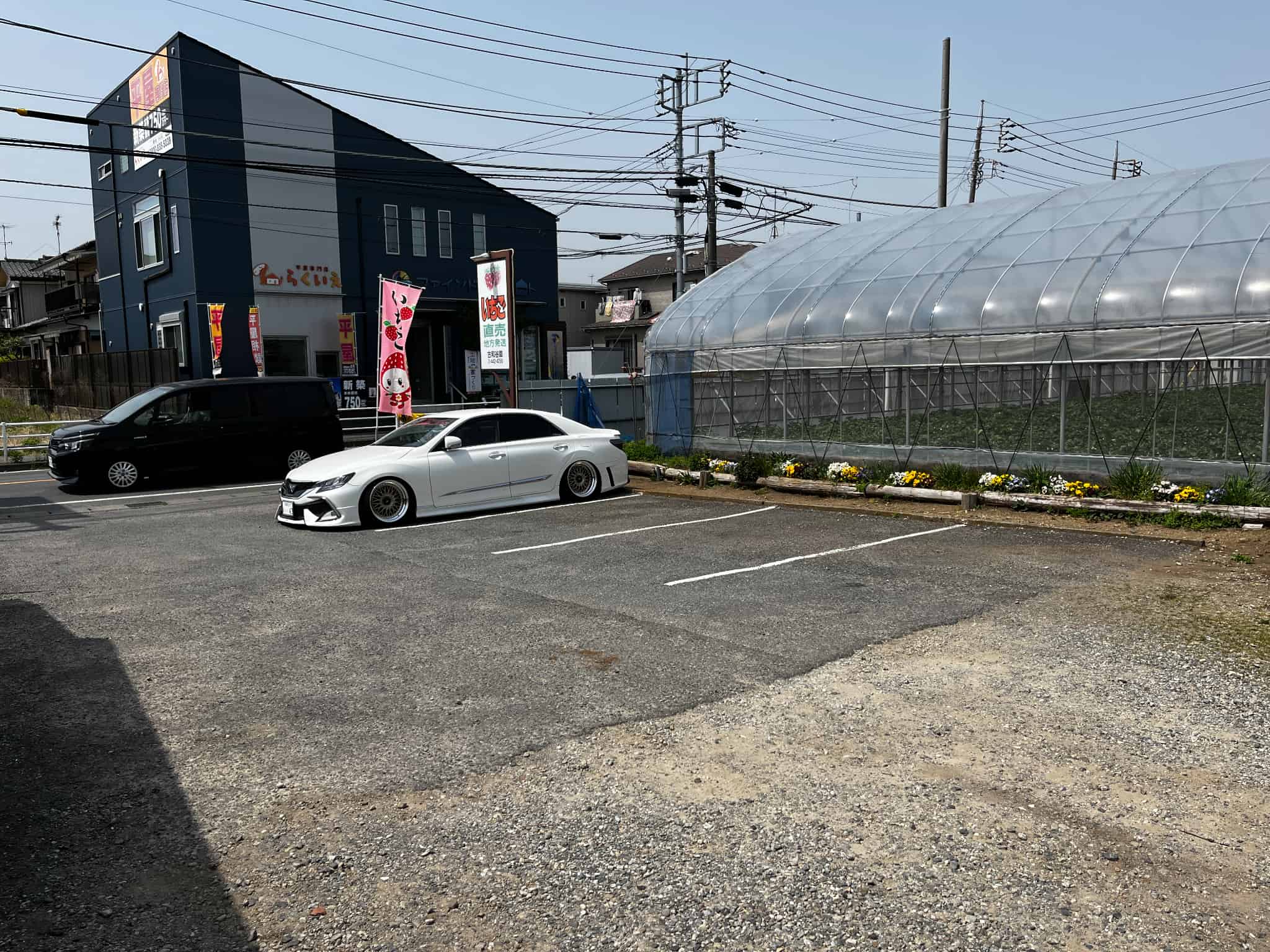 いちご狩りの画像6