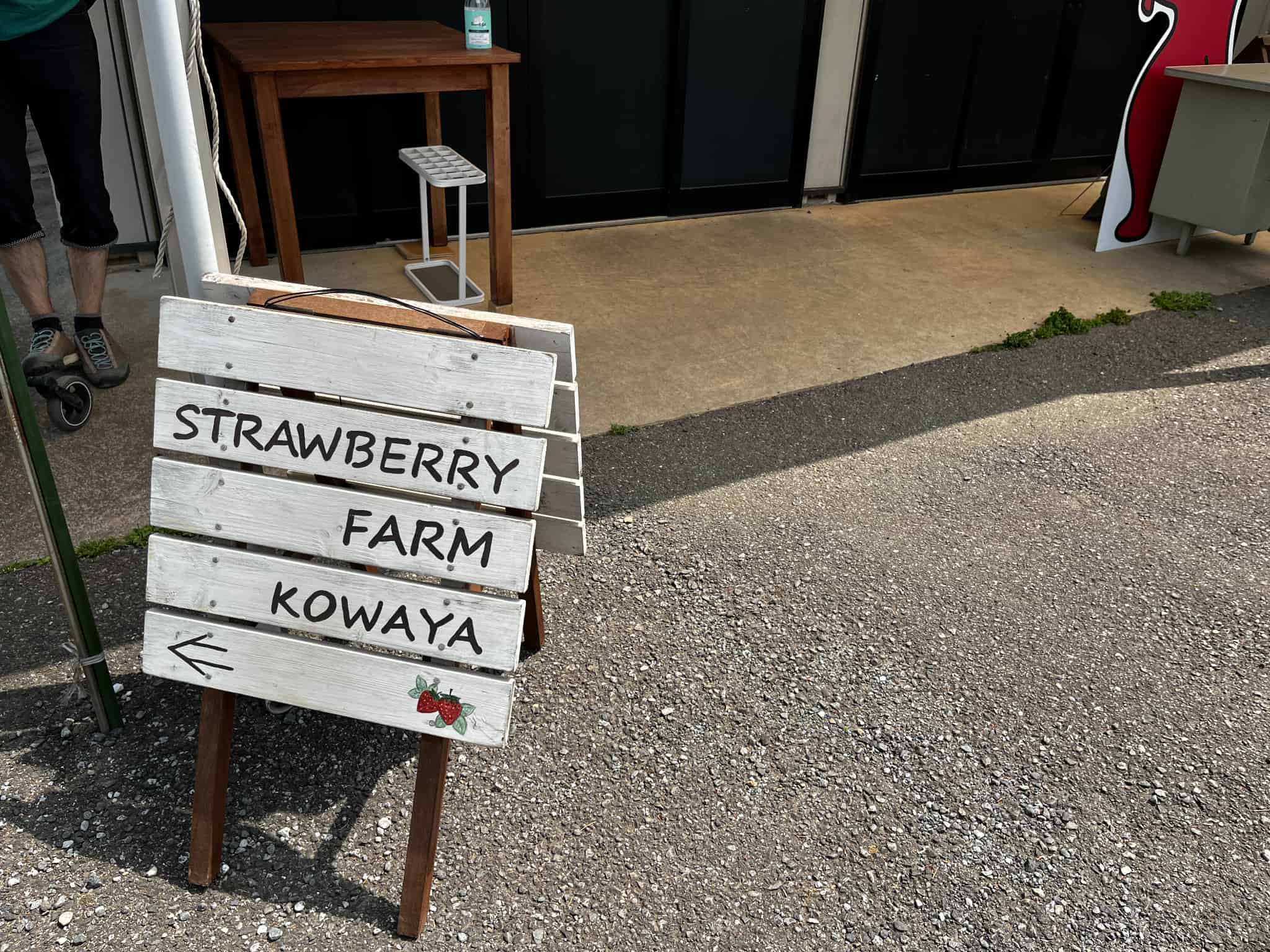 いちご狩りの画像8