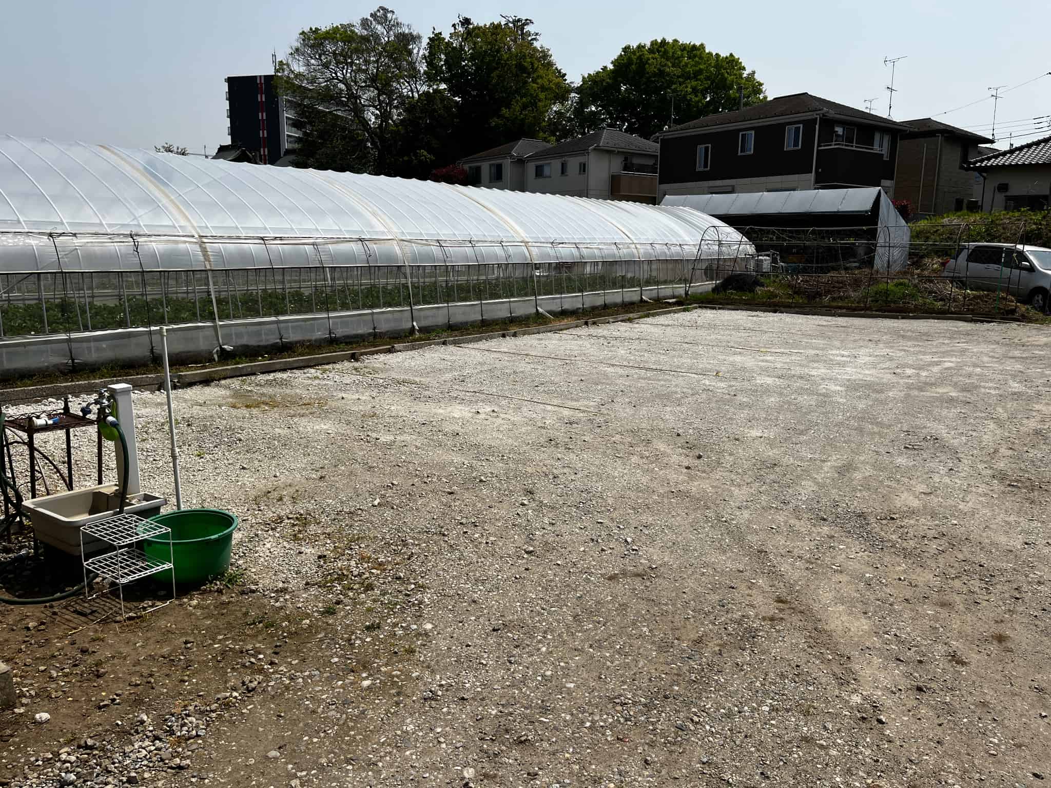 いちご狩りの画像11