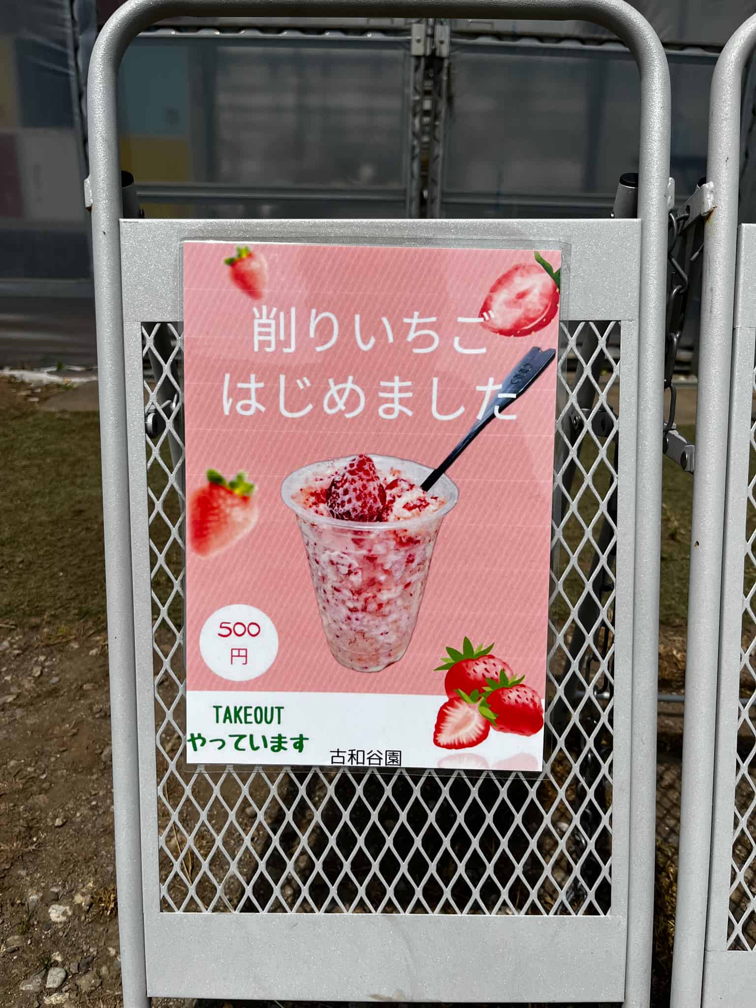 いちご狩りの画像12